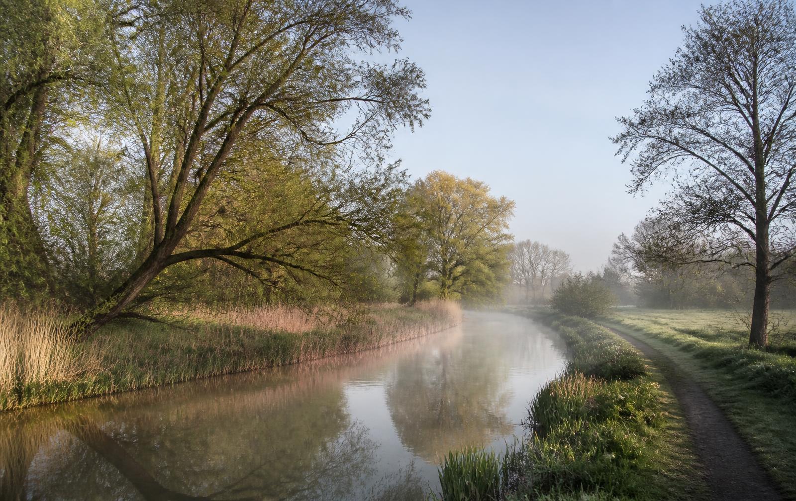 Naturnaher Alsterlauf mit Wanderweg im Hamburger Norden